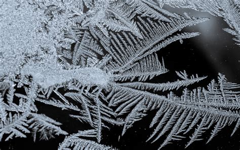 jeffrey friedl s blog more frost patterns from arctic ohio