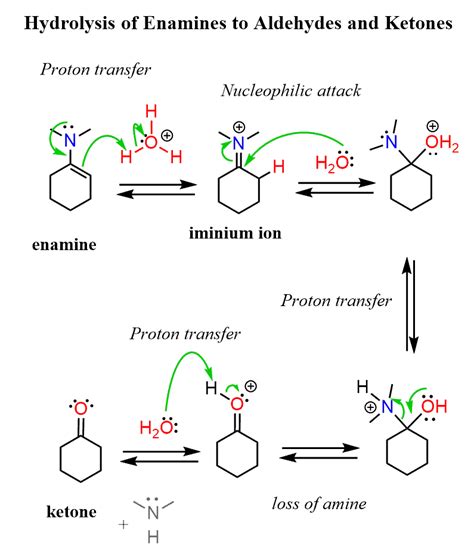 imine  enamine hydrolysis mechanism chemistry steps