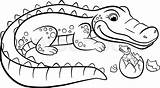 Coloring Alligator Pages Baby Crocodile Drawing Cute Kids Cartoon Animals Color Printable Easy Mother Getdrawings Alligators Clipartmag Getcolorings Simple Rainforest sketch template
