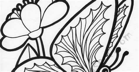 effortfulg coloring pages flowers  butterflies