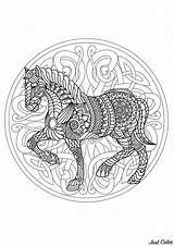Mandala Coloring Horse Mandalas Pages Difficult Animals Color Cheval Patterns Beautiful Animal Print Adults Adult Complex Interlaced Colored Printable Justcolor sketch template