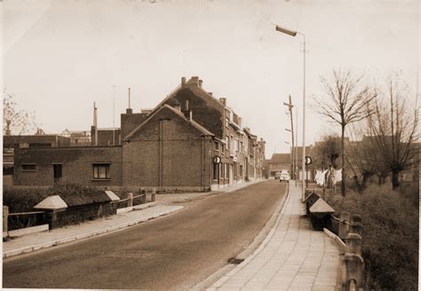 fotoreeks boom vroeger en nu  boom het nieuwsblad