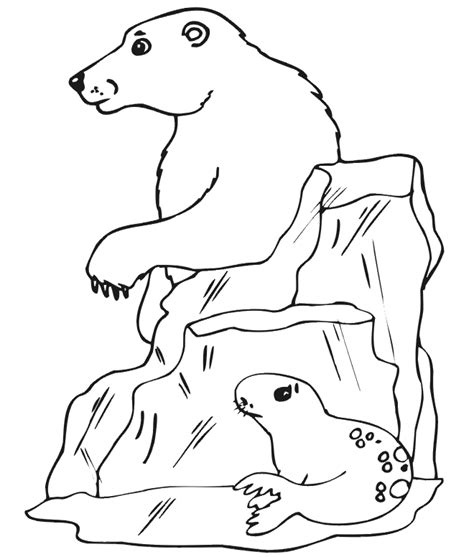 printable arctic animals coloring pages