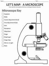 Microscope Parts Biology Blank Compound sketch template