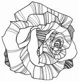 Drawings Flower Drawing Flowers Rose Coloring Line Pages Power Illustration Draw Color Colouring Printable Nicole Clipart Cliparts Roses Wallpapers Adult sketch template