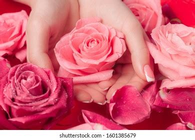 woman pink rose bath images stock  vectors shutterstock