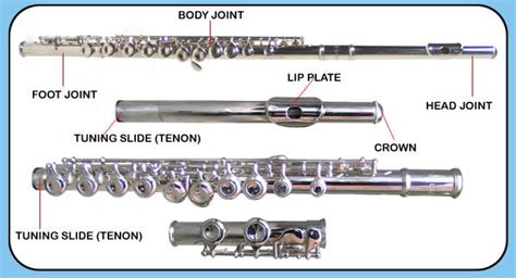 parts   flute  instrument pinterest