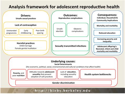 adolescent reproductive health the bixby center for population health and sustainability