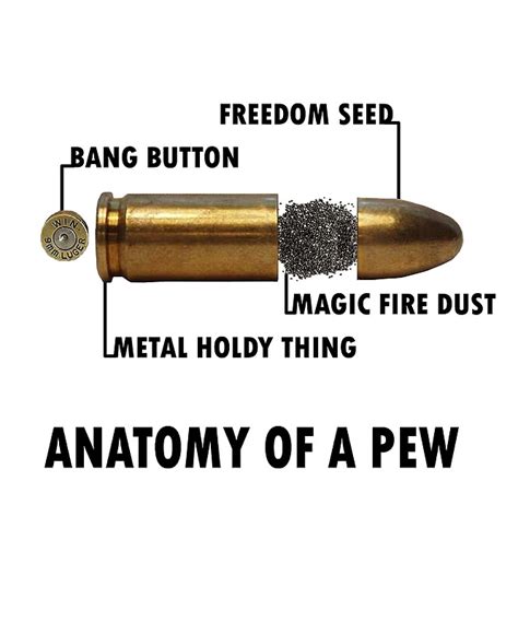 anatomy  bullet