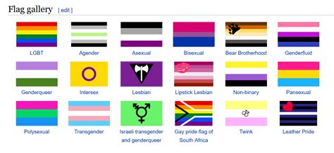 All Lgbtq Flags And Meanings A Field Guide To Pride Flags These