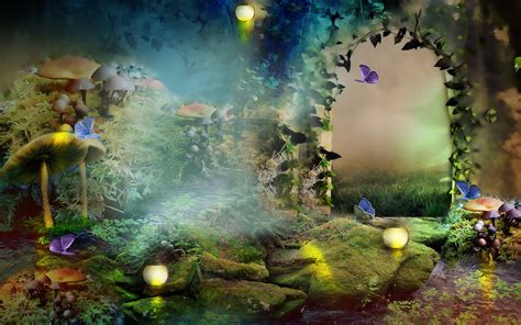 enchanted forest wallpapers  images