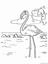 Flamingo Printable Coloring4free 2141 sketch template