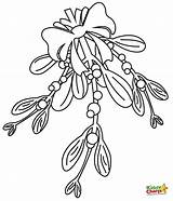 Mistletoe Kiddycharts Froggy Bestcoloringpagesforkids sketch template