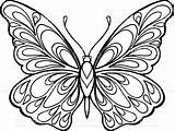 Butterfly Coloring Doodle Drawn Hand Book Illustration Visit Decorative Drawing Zentangle Template sketch template