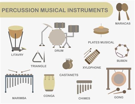 percussion ensemble vectors illustrations    freepik