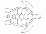 Tortugas Tortuga Tartaruga Imprimir Aboriginal Turtles Colorir Imágenes Gratistodo sketch template