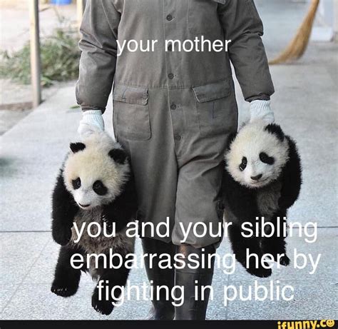 your mother you and your sibling embarrassing her by fighting in public