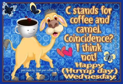 Happy Hump Day Wednesday Happy Hump Day Meme Hump Day Quotes