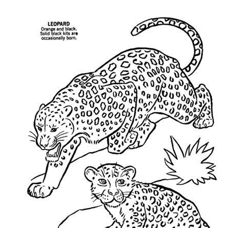 mommy  baby animals coloring pages baby animals coloring pages