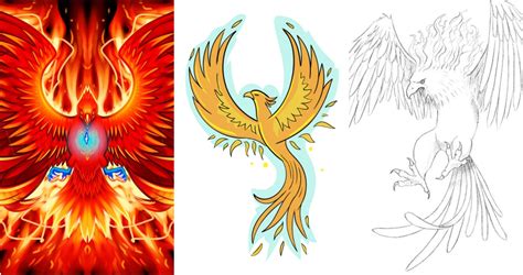 phoenix bird drawings color