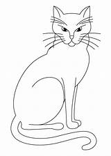 Calico Coloriage Cheshire Siamese 1876 Coloriages Animaux Kitten Getcolorings Katze Impressionnant Ausmalbilder Kitty sketch template