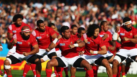 argentina  tonga rugby world cup pool  preview rugby union news