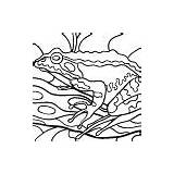 Mosaic Frog Coloring Activities sketch template