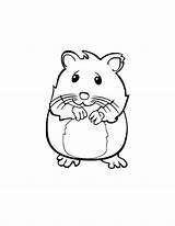 Hamster Guinea Meerschweinchen Ausmalbild Sandy sketch template
