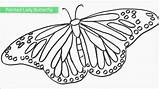 Butterfly Coloring Printable Pages sketch template