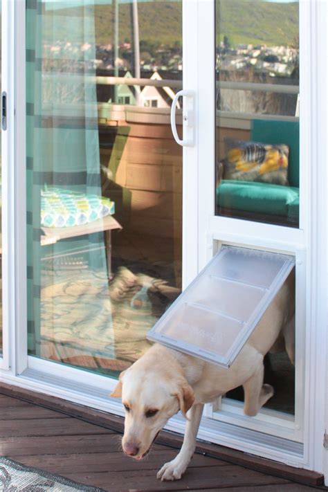 endura flap vinyl sliding glass dog door   sliding glass dog door dog door sliding