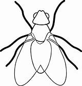 Insect Bug Wecoloringpage sketch template