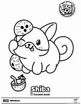 Inu Shiba Skittles Ohlade sketch template