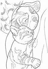 Coloring Pages Dogs Cats Dog Adult Books Lovable Sheets Book Cat Adults Printable Haven Creative Puppy Dover Colouring Animal Color sketch template