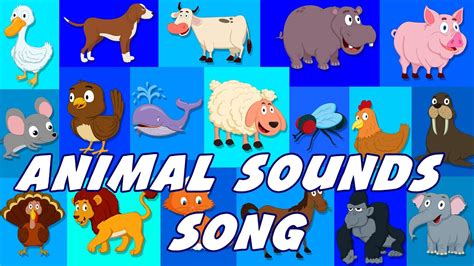 animal sounds song sounds  animals  nursery doovi