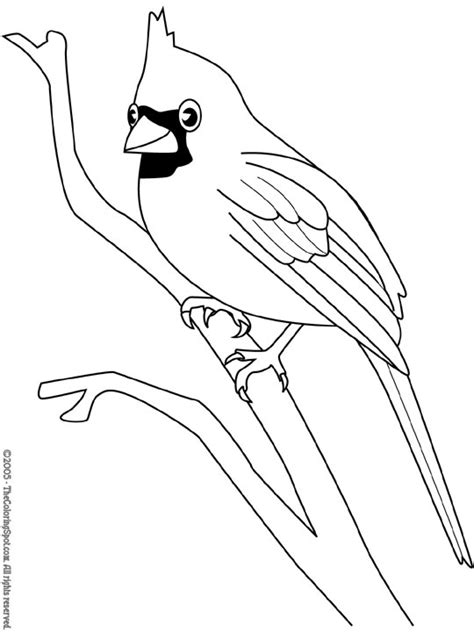 cardinal coloring page  audio stories  kids  coloring pages