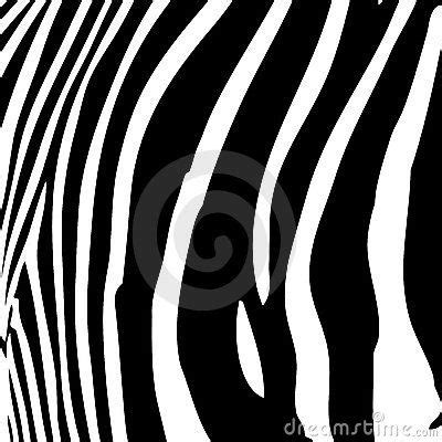 zebra stripes vector zebra animals images stuffed animal patterns