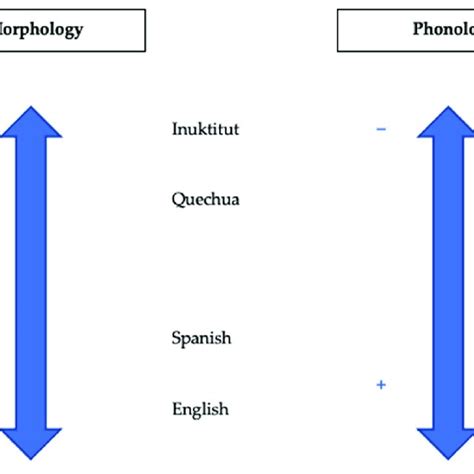 schematization   relationship  morphology phonology   scientific