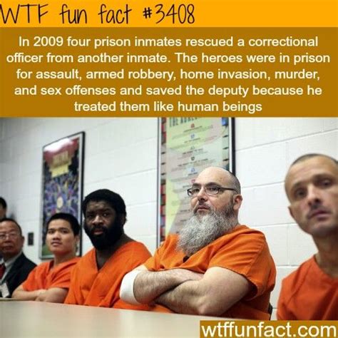 Pin By Pandabear C On Wtf Facts Fun Facts Wtf Fun