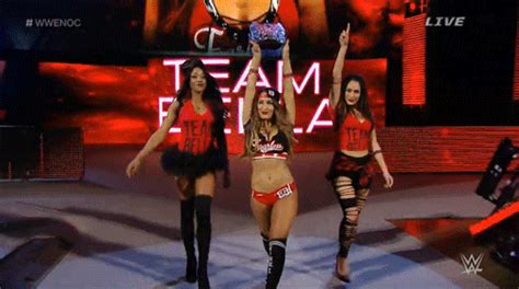 nikki and brie bella s find and share on giphy