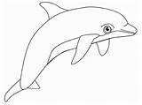 Dolphin Clipart Pages Coloring Printable Dolphins Library Print Color sketch template