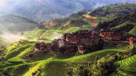 nature landscape trees china asia rice paddy morning mist house