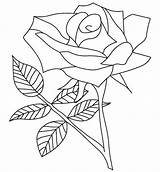 Mewarnai Bunga Mawar Coloriages Sketsa Putih sketch template