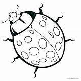 Coloring Ladybug Bug Pages Printable Realistic Kids Insect Cute Drawing Colouring Ladybird Lady Pill Bugs Line Ladybugs Getdrawings Print Cool2bkids sketch template