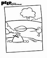 Peep Coloring Pages Wide Big Chirp Wgbh Singing Quack Activities Trademarks Indicia Characters Related Show sketch template
