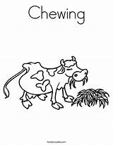 Coloring Cow Grass Chewing Eats Built California Usa Twistynoodle Noodle sketch template