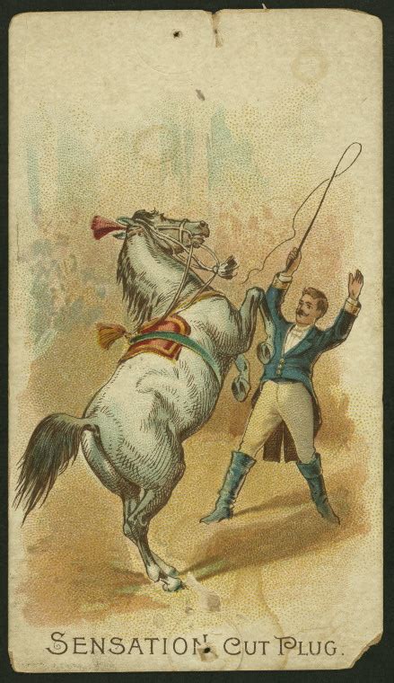 circus scenes nypl digital collections