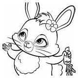 Enchantimals Coloring Pages Flick Fox Xcolorings sketch template