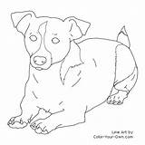 Russel Terrier Parson Rat Terriers Breeds Ausmalbilder Labradoodle Hunde Sleeping Downloaden Uitprinten sketch template