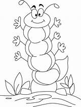 Caterpillar Coloring Pages Butterfly Weird Stage Pre Cute Kids sketch template