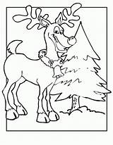 Renifer Kolorowanki Reindeer Renne Dzieci Dla Colorare Natale Rudolph Everfreecoloring Wydrukowania sketch template